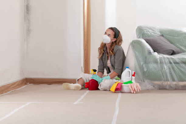 Reliable Mold Removal contractor in Acworth, GA by WQB Mold Removal